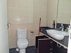 Suites @ Sims (D14), Apartment #460128861